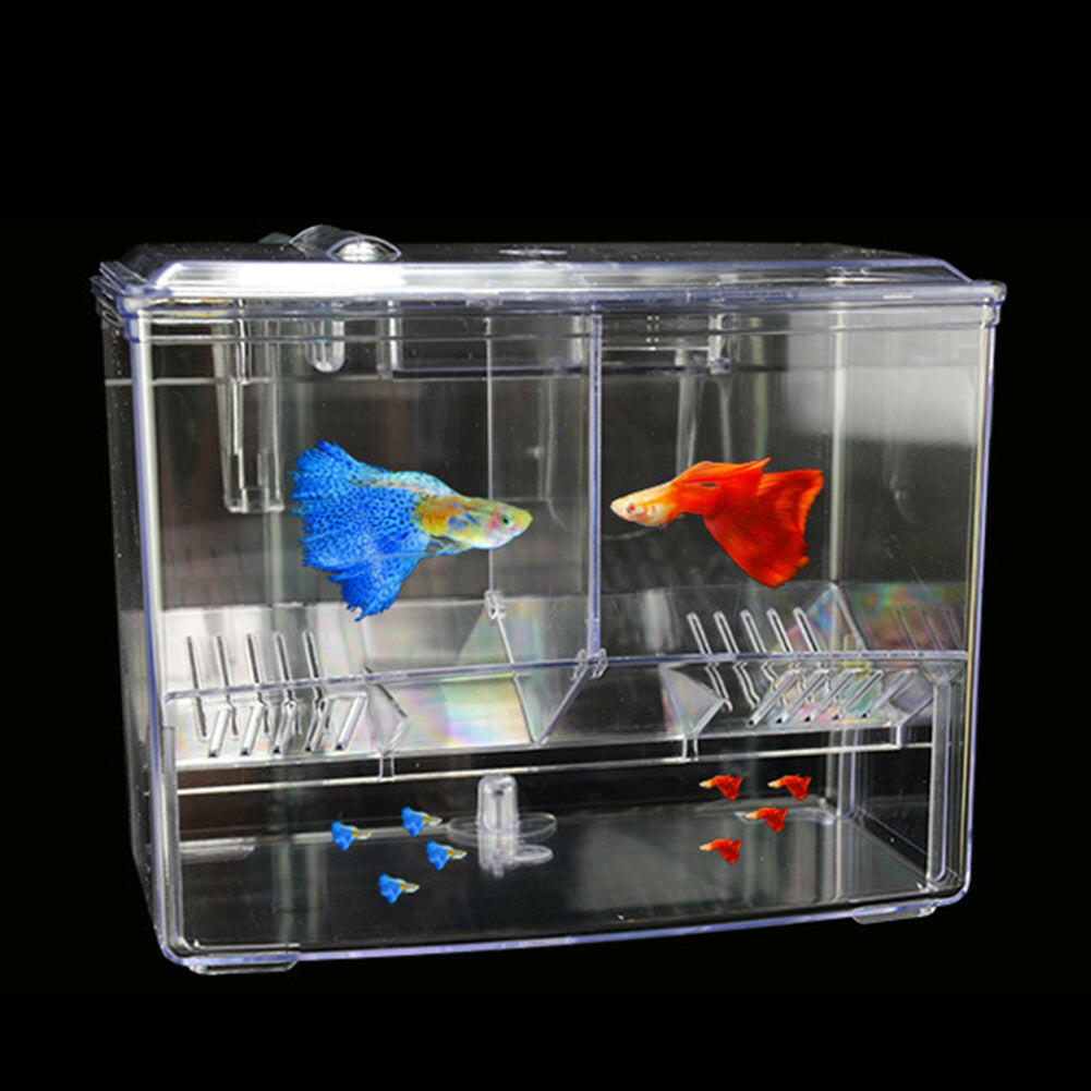 aquarium fish breeding box External Breeder Box