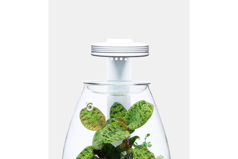 spot2_1200x1200.png?v=1642504376