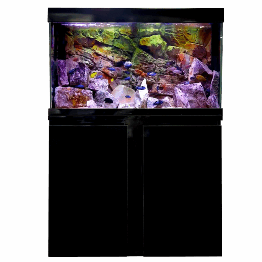 Elegance Aquariums