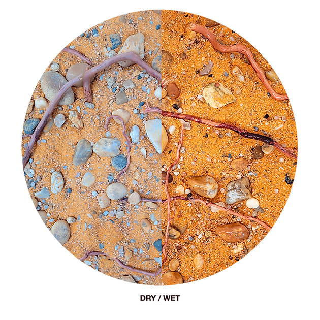 Wio - Mere Riverbed