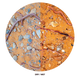 Sticky Image