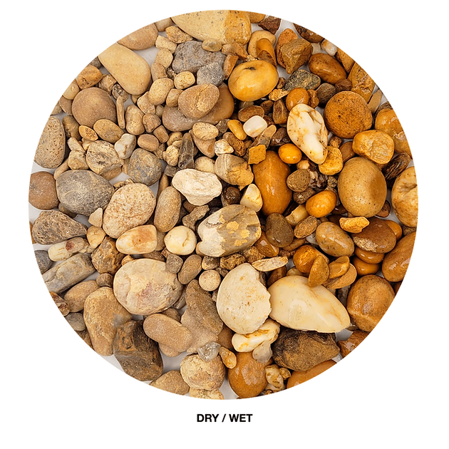 Wio - Bumblebee Gravel