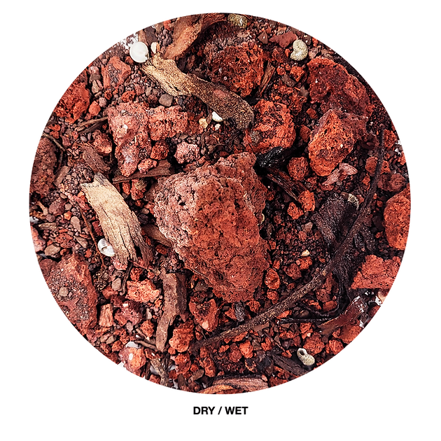 Wio - Crikey Riverbed