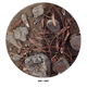 Sticky Image