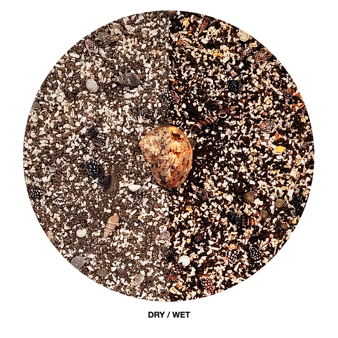 Wio - Nautilus Dark Riverbed