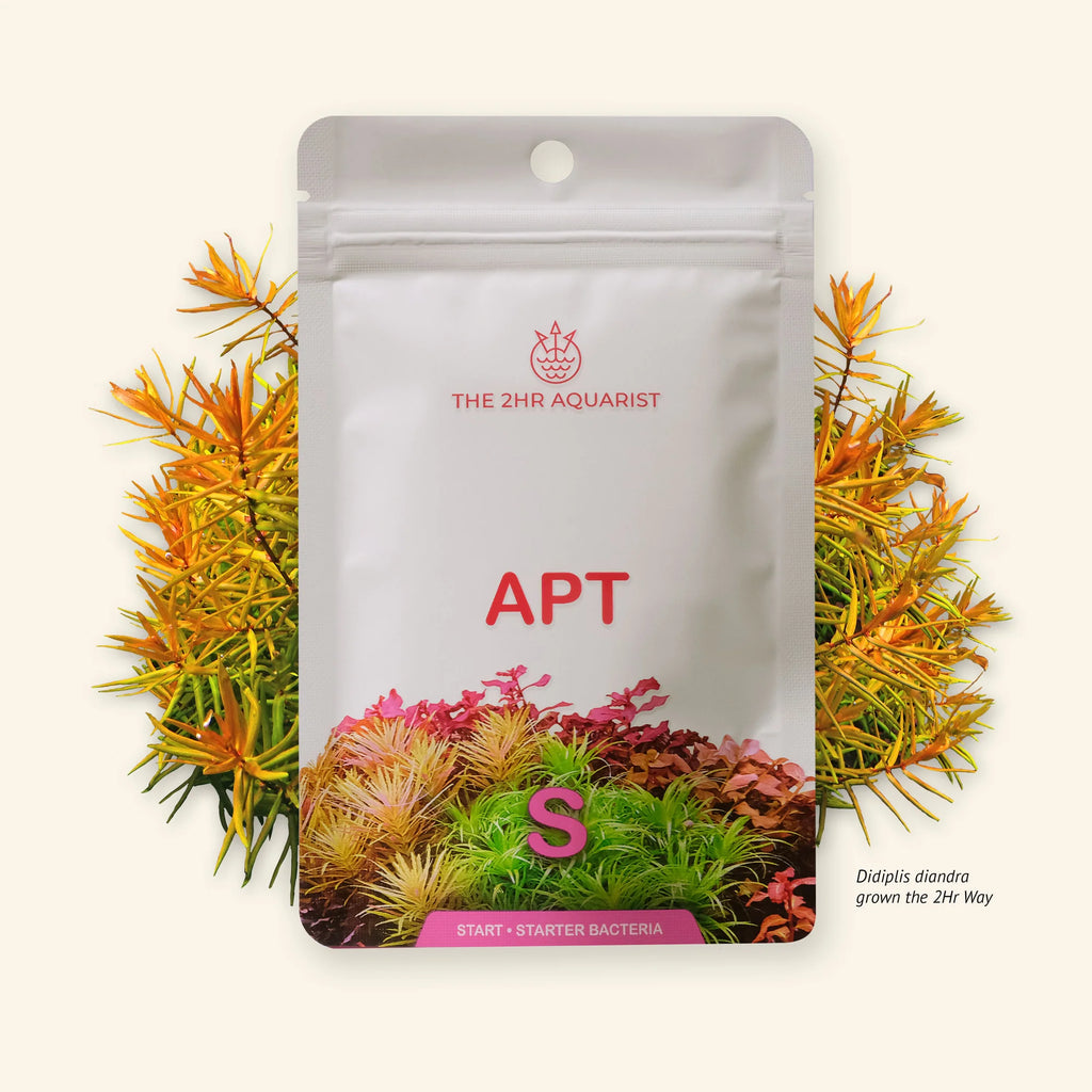 The 2HR Aquarist - APT Start