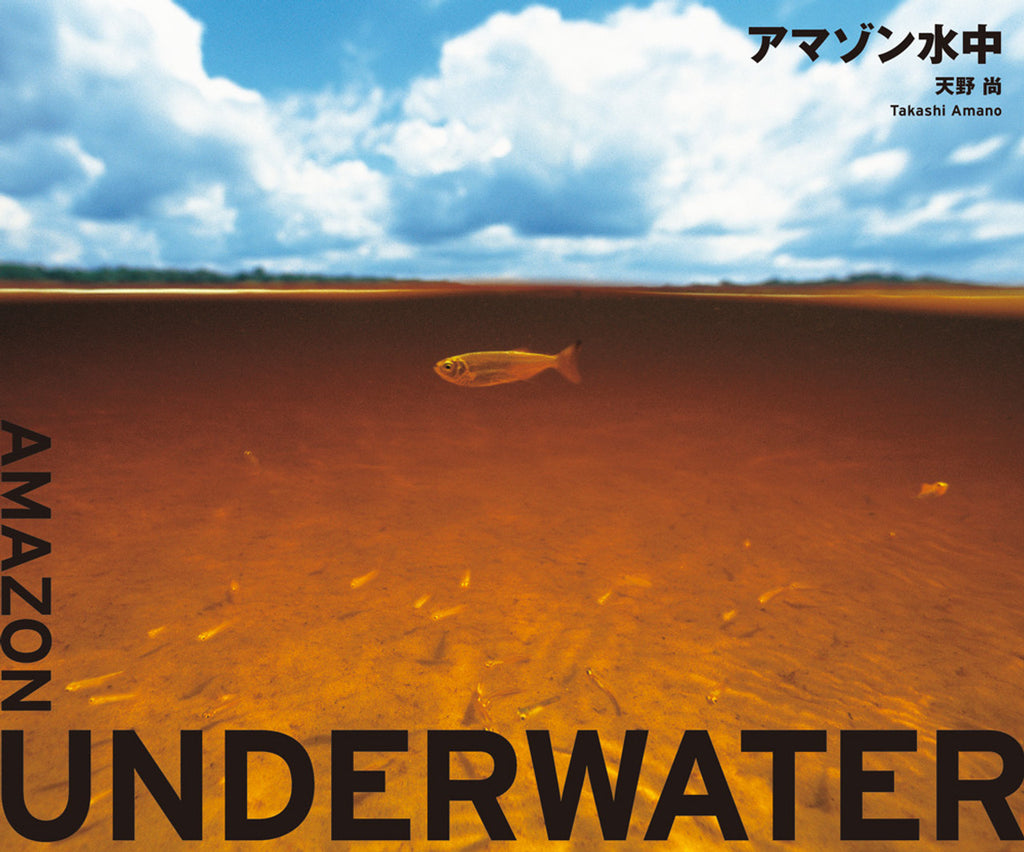 Amazon Underwater (Japanese)