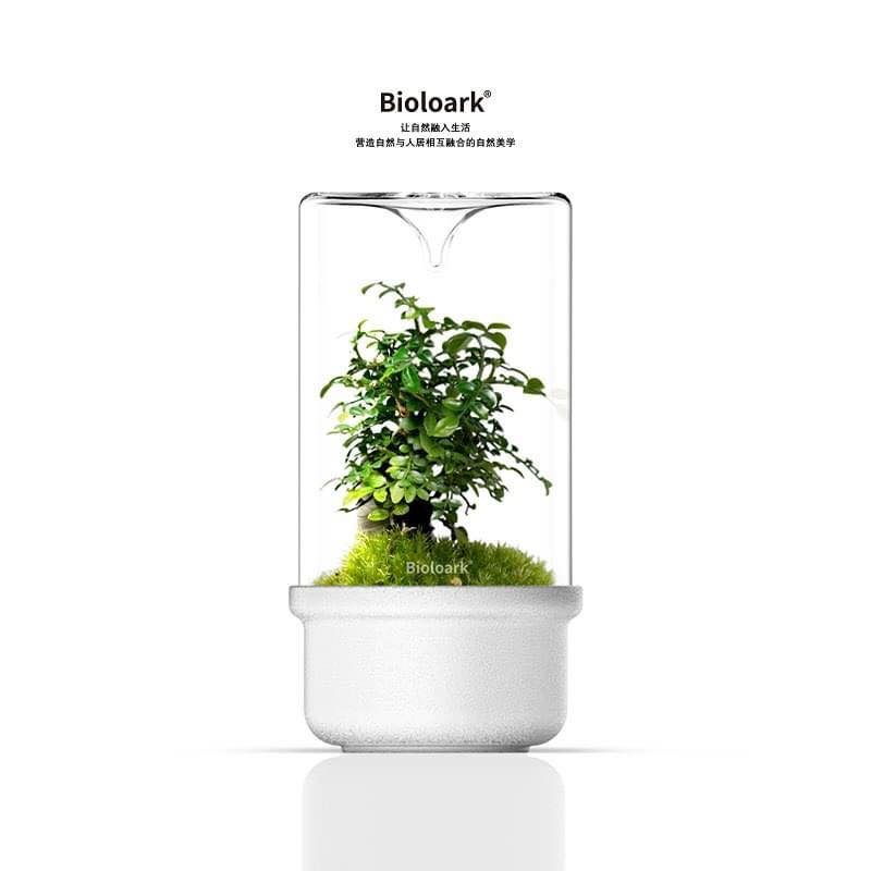 White Bio Bottle MH Series with miniature plant setup featuring moss.