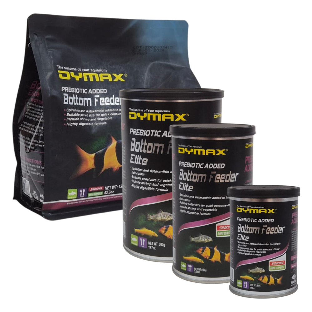 Dymax Bottom Feeder Elite
