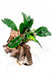 Sticky Image