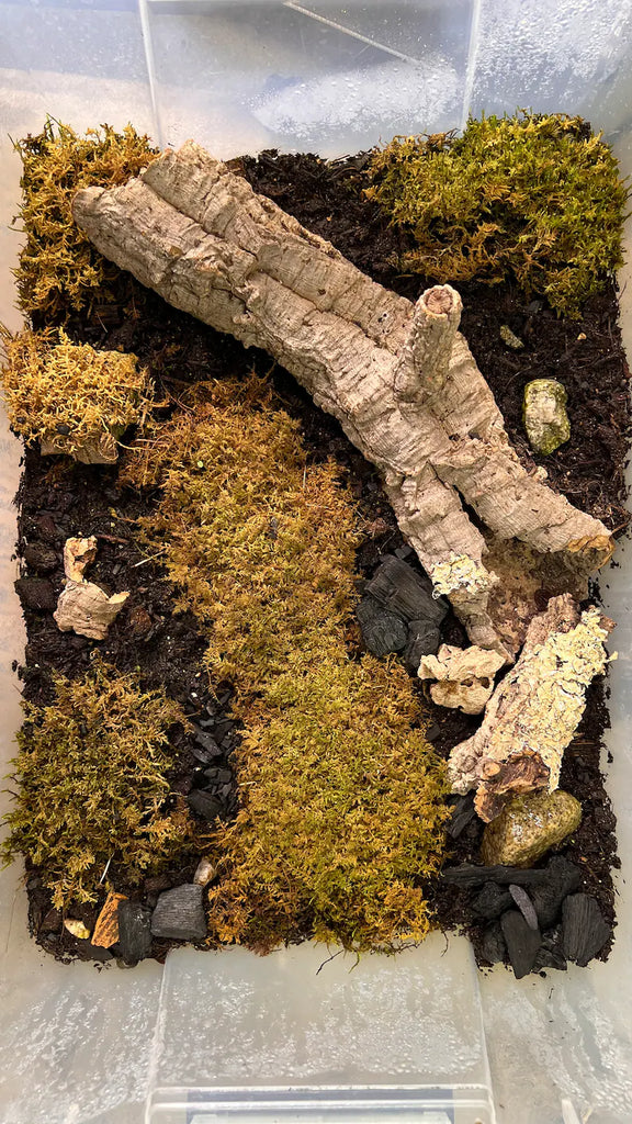 Cork Bark Tube (Small-Large) per 1g