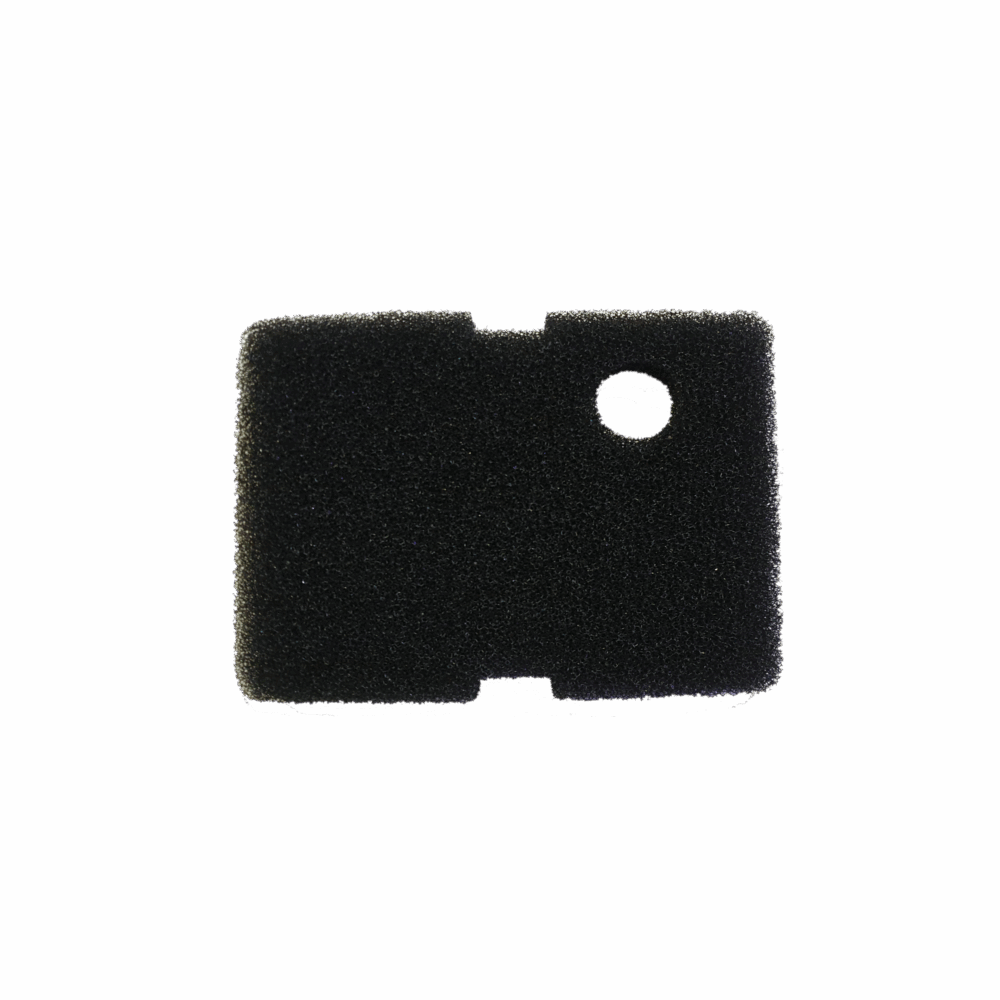 Dophin Black Sponge