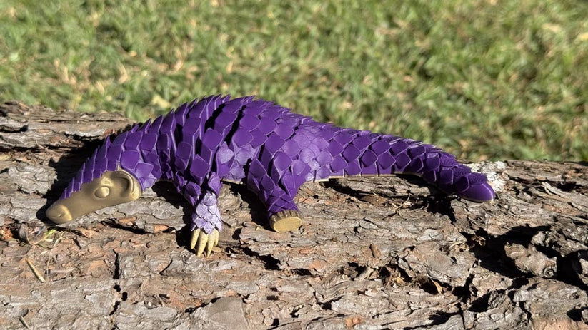 Pangolin: Ambassador Animal