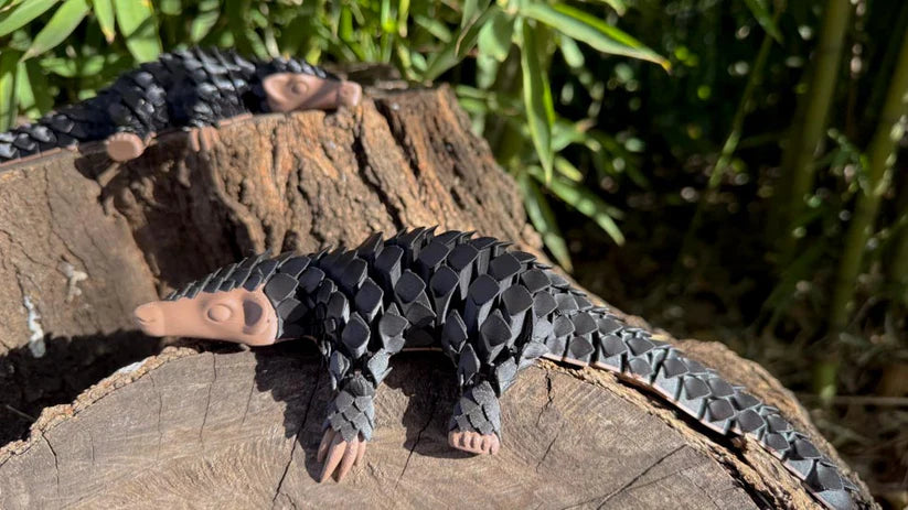 Pangolin: Ambassador Animal