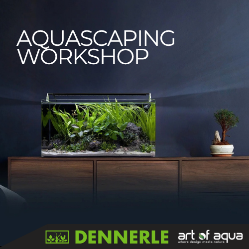 Dennerle Aquascaping Workshop