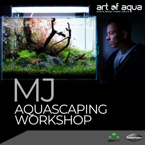 MJ Aquascaping Workshop