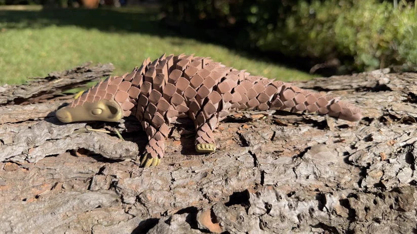 Pangolin: Ambassador Animal