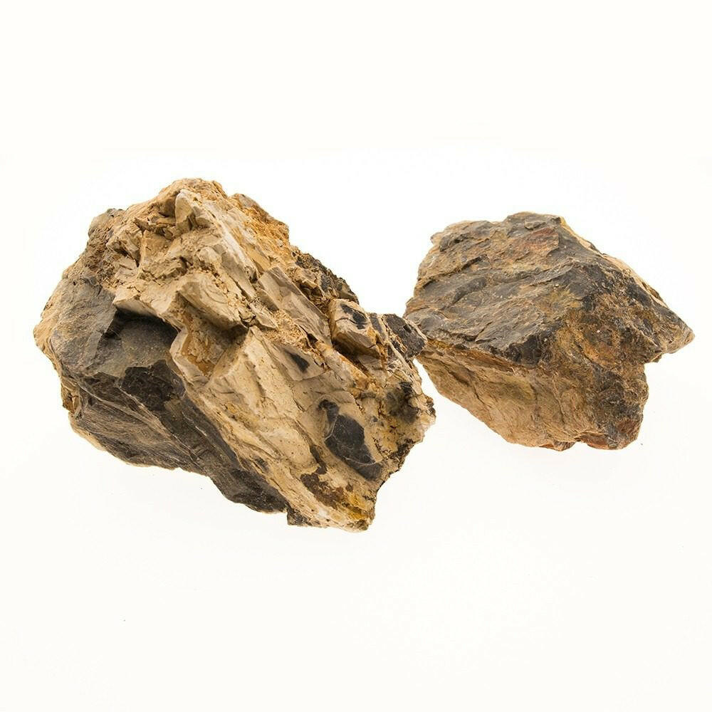 Petrified Wood (100g)
