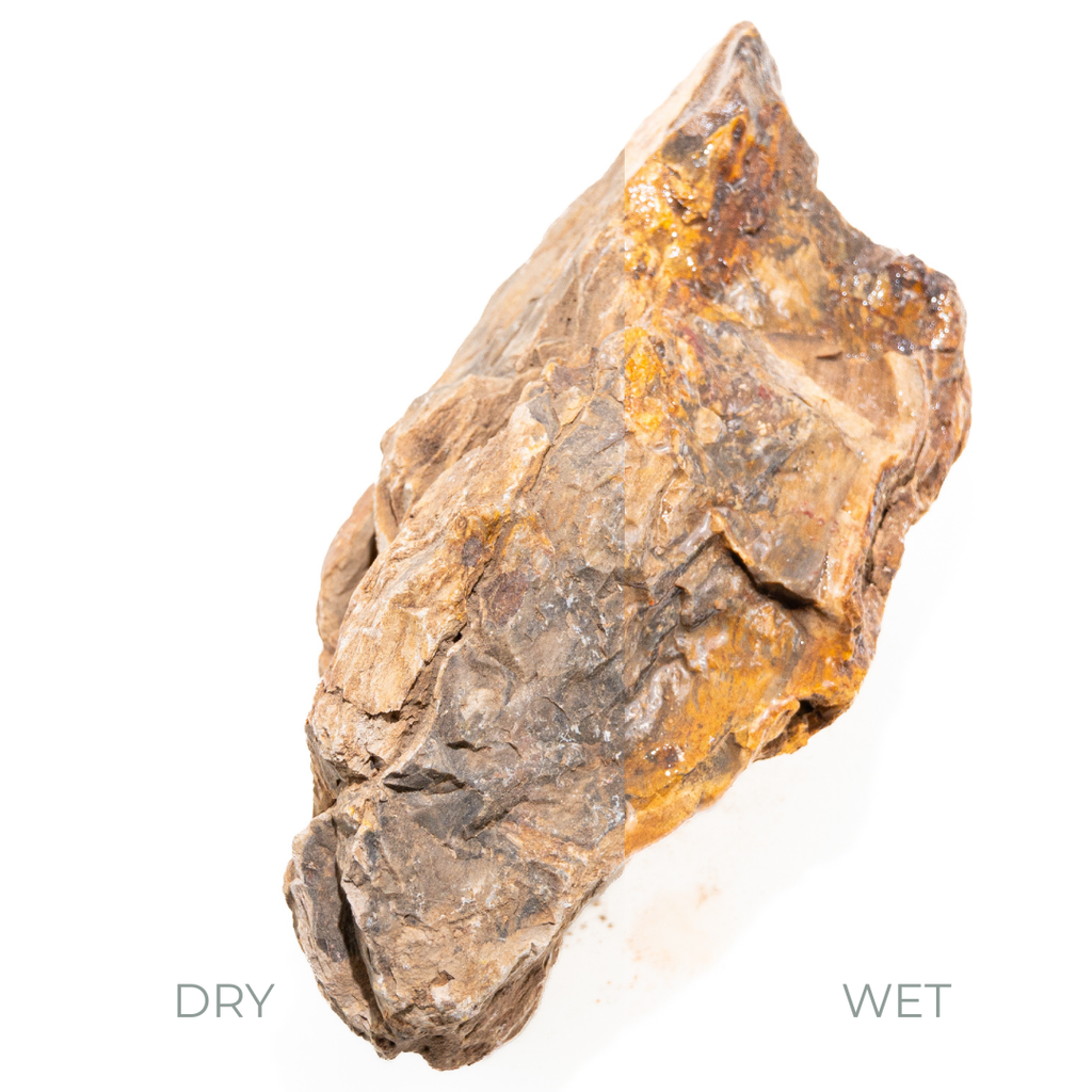 Petrified Wood (100g)