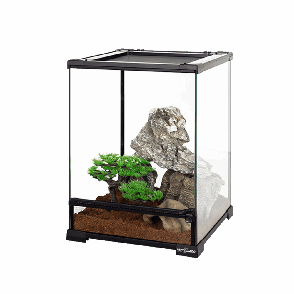 Repti Zoo - Glass Terrarium (In-store collection only)