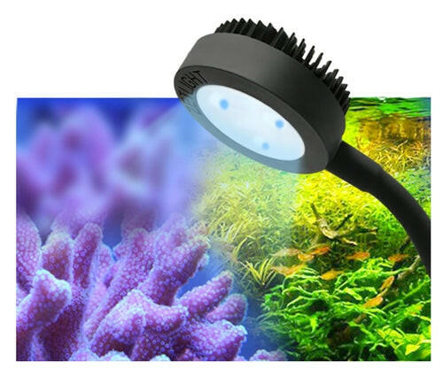 Zelight -ZN1050