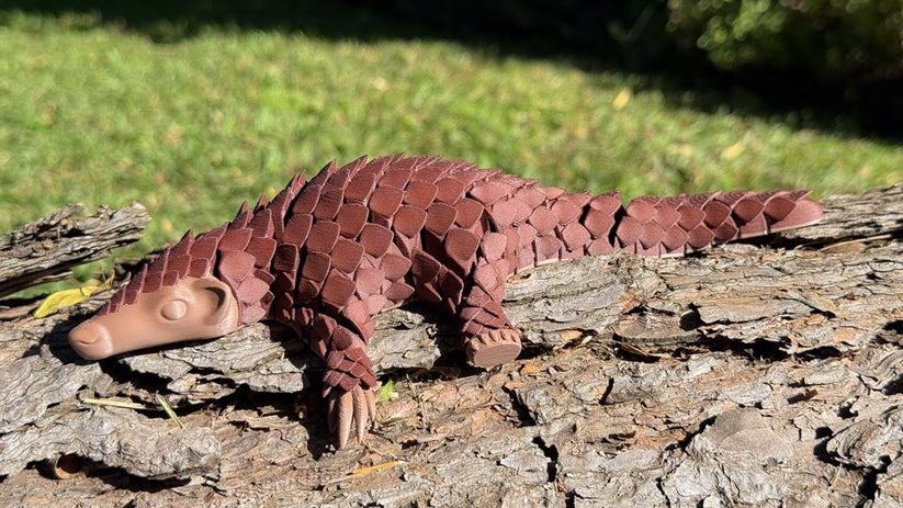 Pangolin: Ambassador Animal