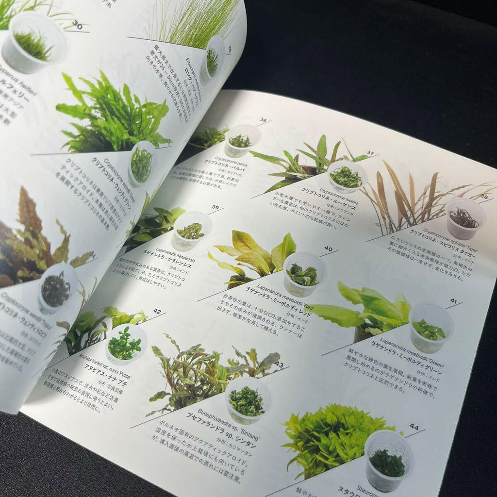 ada aquatic plant style book ADA