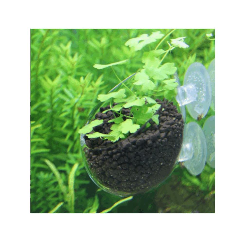 Dymax - Crystal Cultivating Pot