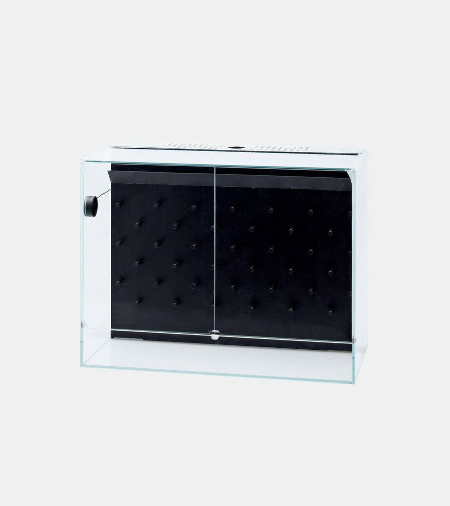 DOOA -  System Paluda
