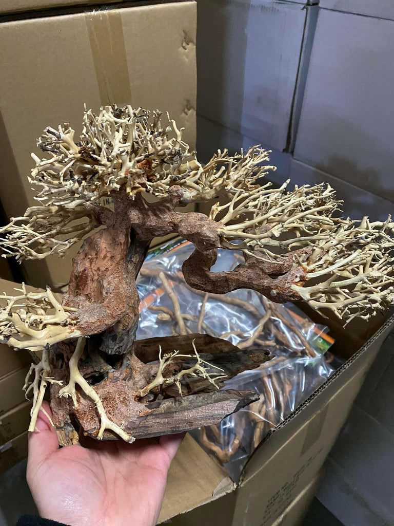 Bonsai Tree Aquarium Driftwood