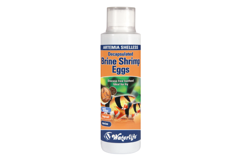 Decapsulated Brine Shrimp Eggs