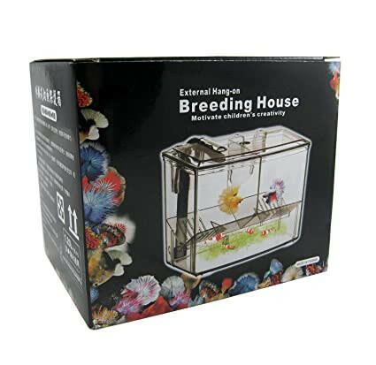 External Breeder Box