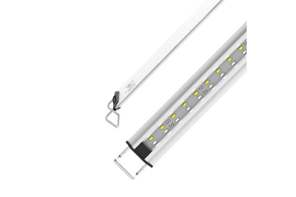 MARINE SPACE - Freshwater