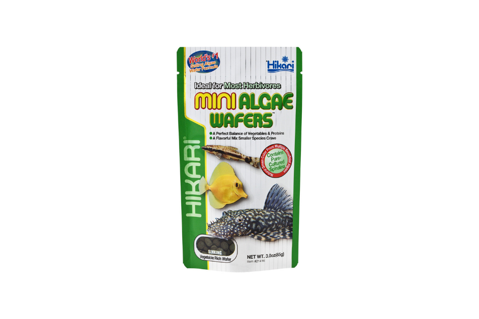 Hikari - Mini Algae Wafers