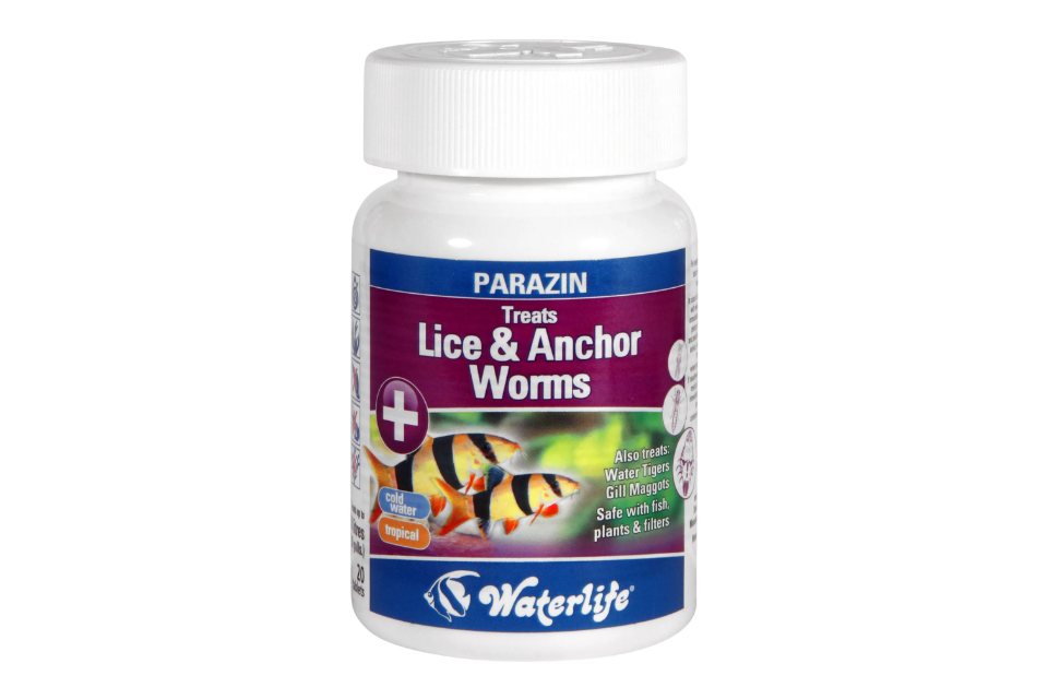 Parazin