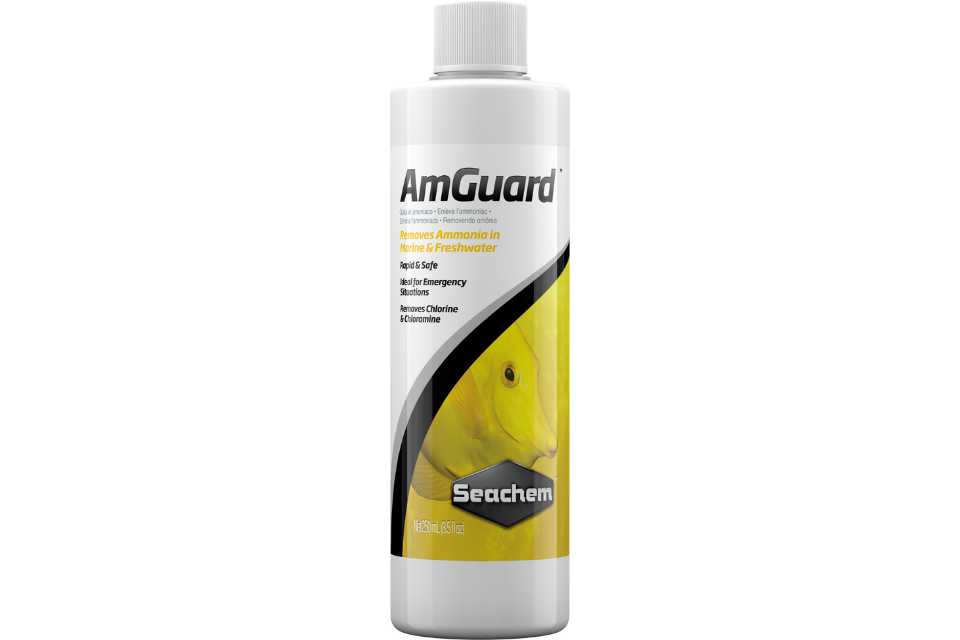 Seachem Amguard 250 