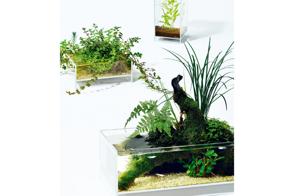 DOOA -  Neo Glass AIR