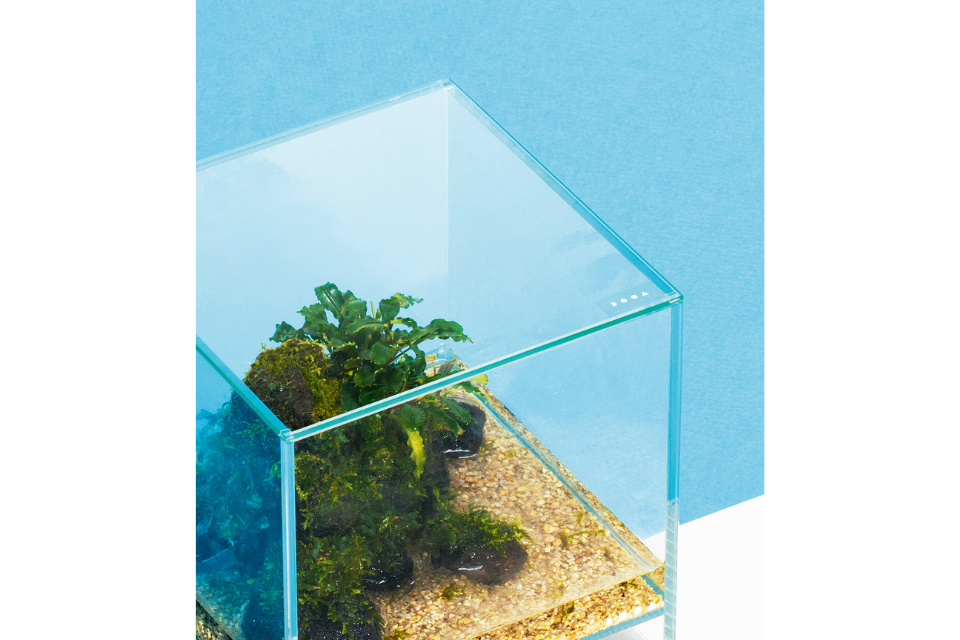 dooa neo glass air ネオグラス　エア neolid_1024x1024.png?v=1642504440