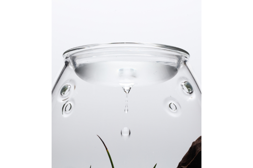 spots_1024x1024.png?v=1642504376